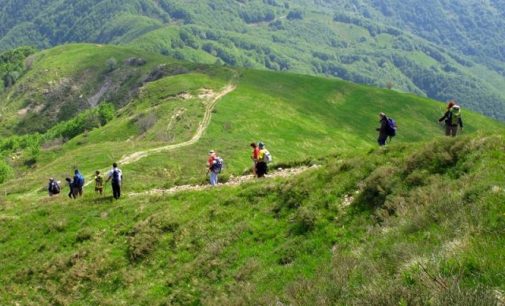 VARZI 21/07/2019: “I sentieri dell’Oltrepò Pavese”. Online la nuova “App” sui sentieri, piste ciclabili e ippovie. Ti avvisa anche se ti stai allontanando dal percorso prescelto