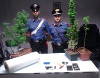 SANNAZZARO DE’ BURGONDI 01/10/2019: Arrestata coppia di spacciatori. In casa avevano 500 gr di hashish, piante di marijuana e una pistola