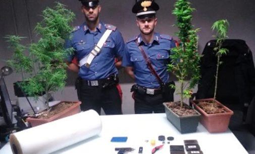 SANNAZZARO DE’ BURGONDI 01/10/2019: Arrestata coppia di spacciatori. In casa avevano 500 gr di hashish, piante di marijuana e una pistola