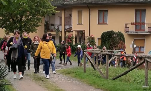 GODIASCO 12/11/2019: In 170 alla Mangialonga di San Martino. Successo per la prima edizione