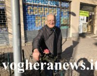 VOGHERA 15/01/2020: Sbocciano rose in pieno inverno. La sorpresa e la gioa del “Nonno Giardiniere Guido”. Quando le poto i vogheresi possono venire a prenderle