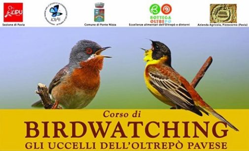 OLTREPO 21/02/2020: “Birdwatching”. Da Marzo a Giugno un corso in Oltrepò e Valle Staffora