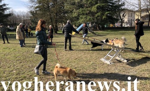 VOGHERA 21/02/2020: Inaugurato il nuovo parco in viale Repubblica dedicato ai cani