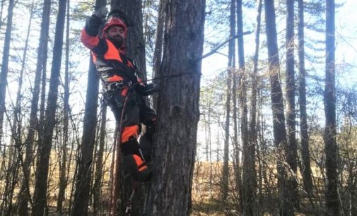 VARZI 21/02/2020: Al via il corso per Operatore forestale. Aperte le iscrizioni