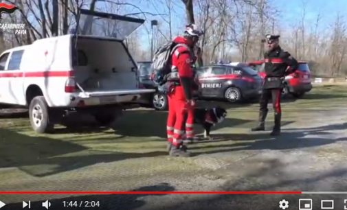 PAVIA 12/02/2020: Ricerche in atto della trans scomparsa a dicembre. Il VIDEO