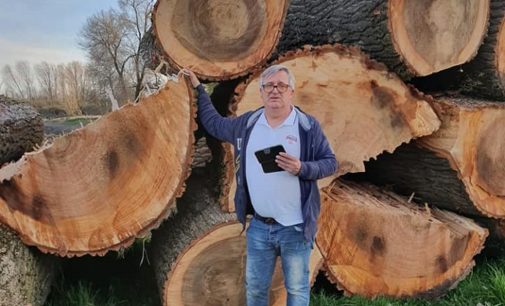 PAVIA E PROVINCIA 19/03/2020: Scempio di alberi a Villanterio. Abbattuti fusti secolari lungo 3km di sponda del Lambro. Distrutto l’habitat anche di molta fauna