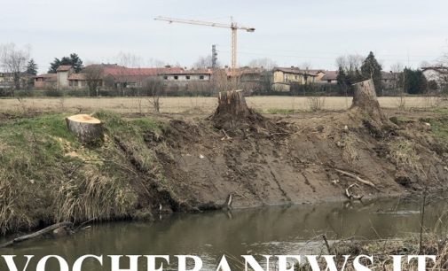 PAVIA VOGHERA 17/04/2020: Falcidia di alberi selvatici nelle campagne della provincia. Il Codacons. “Un errore: l’ambiente è patrimonio di tutti”