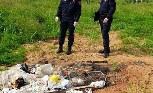 CASORATE PRIMO 23/05/2020: Vìola i diventi anti Covid. Pesantemente sanzionato un agricoltore