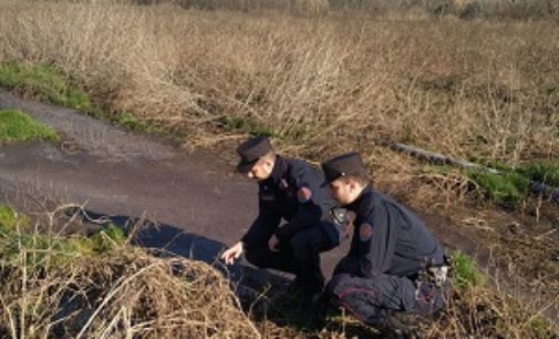 MONTALTO 22/05/2020: Carabinieri forestali denunciano un uomo per combustione illecita di rifiuti