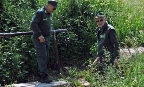 PAVESE OLTREPO LOMELLINA 30/06/2020: Tutela dell’ambiente e della biodiversità. Parte il corso web per diventare Guardia Ecologica Volontaria (GEV). Tutte le info