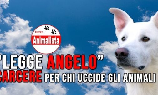 PAVIA VOGHERA 17/06/2020: Cane torturato e ucciso. Il Partito Animalista propone il carcere per chi maltratta e uccide gli animali