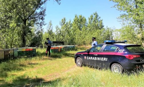 VOGHERA 05/06/2021: 207° anniversario dei Carabinieri. Un anno di lavoro e impegno sociale dell’Arma iriense