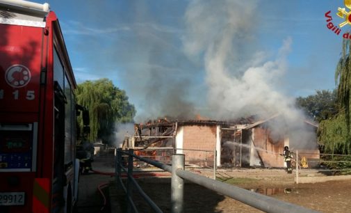 SANT”ALESSIO 26/07/2020: Incendio al maneggio. 11 cavalli morti a causa del rogo