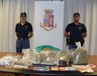 PAVIA 23/09/2020: 4 chili di marijuana in casa. Arrestato gestore di negozio di cannabis light