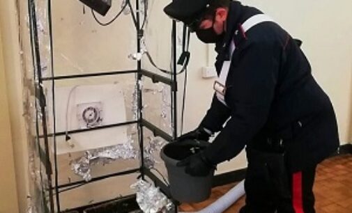 PAVIA 18/10/2020: Coltivano marijuana in casa. Denunciati padre e figlio