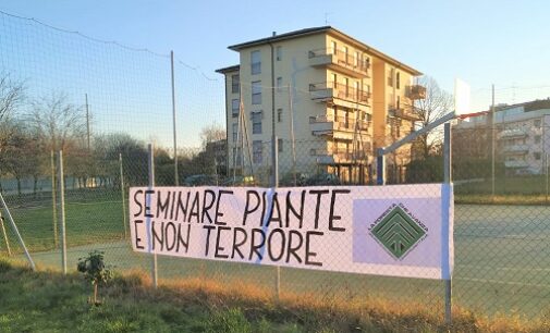 VOGHERA 24/11/2020: Festa dell’Albero. Foresta Che Avanza pianta alberi anche nel periodo del covid