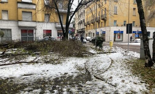 VOGHERA 07/12/2020: Nevicata. Azione: “Amministrazione totalmente incapace”. E accusa il sindaco di ricorrere allo “scaricabarile”