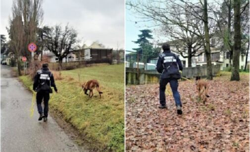 GODIASCO RIVANAZZANO 04/02/2021: Animali. Bocconi avvelenati. Avviati i controlli sul campo con le fototrappole e le unità cinofile