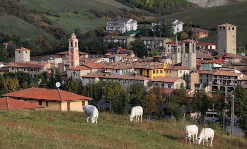 VARZI 22/02/2021: E’ online il progetto delle Vie del Sale della Pietra Verde