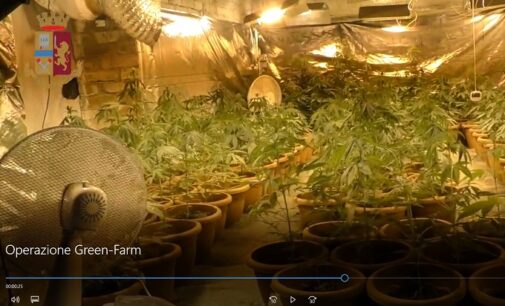 VILLANTERIO 17/03/2021: Operazione “Green Farm” (FOTO VIDEO). La Polizia scopre una coltivazione industriale di marijuana. Arrestate 5 persone