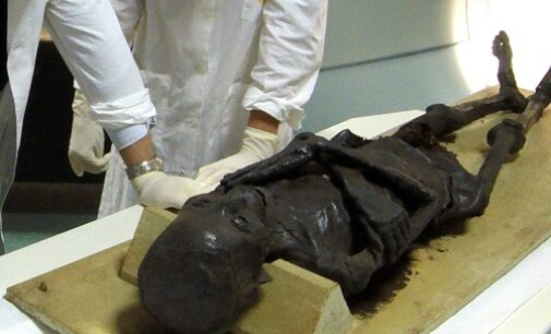 PAVIA 22/04/2021: Alla scoperta delle mummie di Pavia. Martedì 4 Maggio una conferenza del Museo Archeologico
