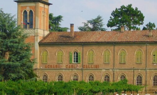 VOGHERA 17/04/2024: Gli studenti del Gallini di Voghera a lezione di PAC con Coldiretti Giovani Impresa