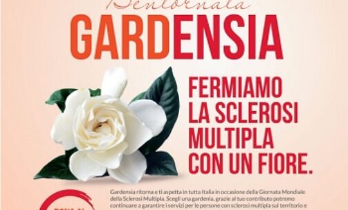 PROVINCIA 07/05/2021: Contro la Sclerosi Multipla. C’è la raccolta fondi “Bentornata Gardensia” per aiutare la ricerca