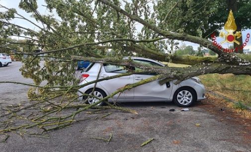 PAVIA 09/07/2021: Nubifragio. Vento e grandine ieri anche sulla provincia di Pavia. Superlavoro per i vigili del fuoco