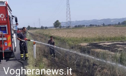 CASTEGGIO 16/07/2021: Incendio in un campo. Fumo sulla A21. I vigili del fuoco di Voghera risolvono il problema
