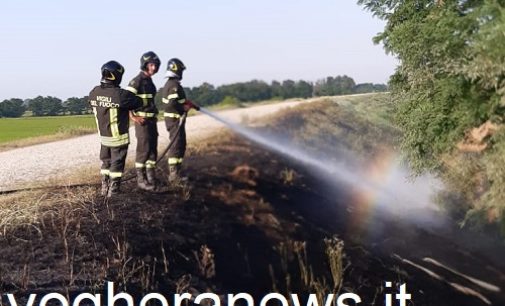 PONTE NIZZA 02/08/2022: Vigili del fuoco in azione stanotte. Domato l’incendio scoppiato a San Ponzo