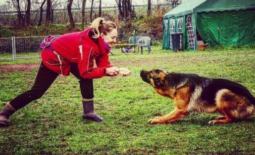 VALEGGIO 30/09/2021: Morte di Polina Kochelenko. La famiglia teme che non sia una morte accidentale. La pista della sparizione dei cani dall’ingente valore