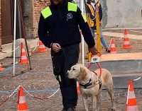 TORTONA 18/10/2021: Lions Club. Domenica la manifestazione con i cani guida per non vedenti