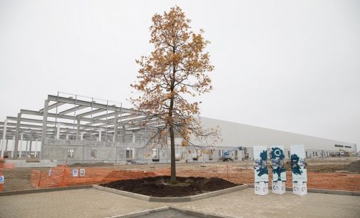 CASEI GEROLA 29/11/2021: La maxi logistica punta al green per mitigare l’impatto ecologico dell’intervento. Piantato il primo di 1000 alberi