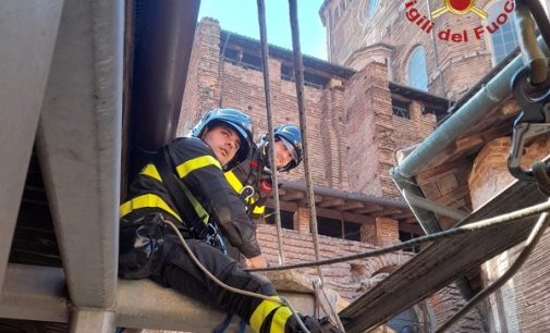 PAVIA 28/02/2022: La gatta sul tetto… del Duomo. L’animale salvato dai vigili del fuoco con un intervento “acrobatico”