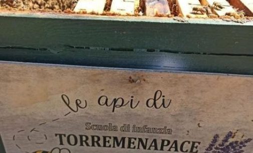 VOGHERA 31/03/2022: Animali in provincia. La scuola d’infanzia Torremenapace adotta un’arnia