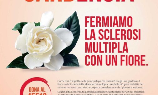 PAVIA VOGHERA PROVINCIA 05/05/2022: Un fiore per fermare la Sclerosi multipla. Nel weekend del 20-22 Maggio la vendita benefica delle Gardenie. Ma c’è anche il numero solidale