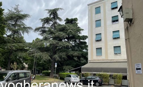 VOGHERA 24/06/2022: Sicurezza. Albero e rischio crollo. La prossima settimana sarà abbattuto un cedro in piazza Meardi