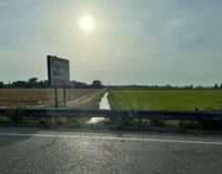 PAVIA & PROVINCIA: La siccità si combatte anche proteggendo l’acqua dei canali irrigui dall’evaporazione. L’agricoltura si salva anche ripiantando gli alberi eliminati nel tempo dalle sponde dei canali