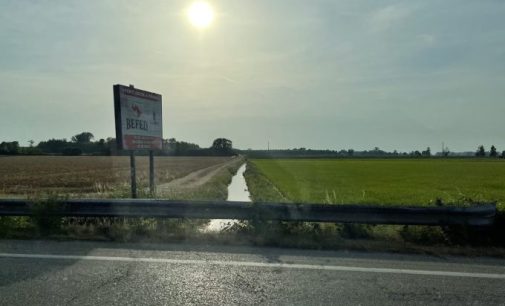 PAVIA & PROVINCIA: La siccità si combatte anche proteggendo l’acqua dei canali irrigui dall’evaporazione. L’agricoltura si salva anche ripiantando gli alberi eliminati nel tempo dalle sponde dei canali