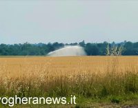 PAVIA PROVINCIA 11/07/2022: Siccità. Il presidente di Cia Pavia: l’agricoltura va protetta, troppi vincoli e poco coraggio stanno affossando il settore