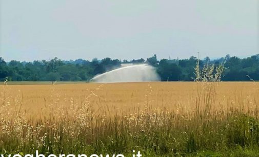 PAVIA & PROVINCIA 28/10/2022: Siccità. Convegno di Coldiretti. A Pavia danni per oltre 172 milioni di euro. Devastate dalla crisi idrica 2300 aziende agricole