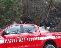 FORTUNAGO 02/07/2022: Incendi di bosco. Vigili del fuoco al lavoro