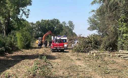 MEZZANINO 14/07/2022: Operaio muore travolto da un mezzo pesante mentre taglia alberi in un cantiere