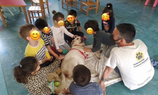 VOGHERA 25/07/2022: Scuola. Pet therapy nelle classi dell’infanzia dell’IC Dante. A cura dell’Associazione cinofila vogherese