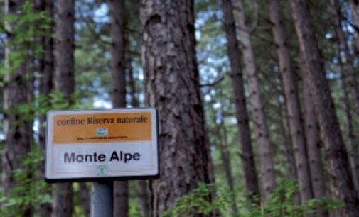 OLTREPO PAVESE 07/08/2022: Turismo & Natura. Ad Agosto 4 escursioni alla Riserva Naturale del Monte Alpe. Si inizia oggi