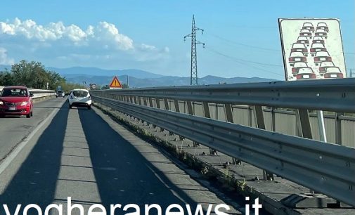 BRESSANA 01/08/2022: Strade. Nuovo asfalto. Iniziato il Senso unico alternato fra il ponte sul Po e la rotonda. Code sulla Sp35