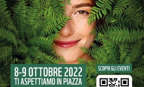 CIGOGNOLA 06/10/2022: Regala una felce. Domenica il banchetto del WWF in Piazza Castello!