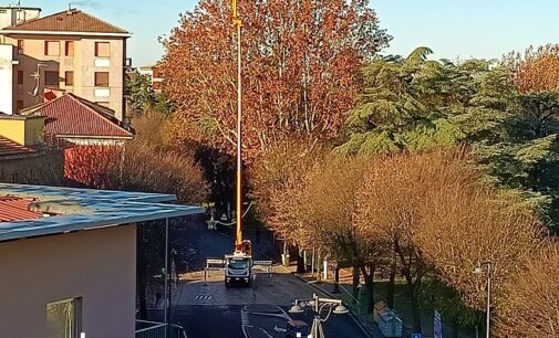 VOGHERA 11/12/2022: Potatura e messa in sicurezza del platano secolare. Chiuso anche oggi viale Matteotti