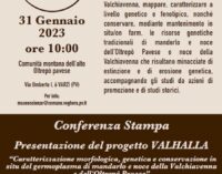 VARZI 24/01/2023: Studio e conservazione del germoplasma del Mandarlo e del Noce dell’Oltrepo pavese. Il 31 la presentazione del progetto