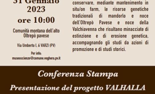 VARZI 05/02/2023: Presentato il progetto Valhalla per la valorizzazione del mandorlo e del noce dell’Oltrepò pavese. Ecco di cosa si tratta